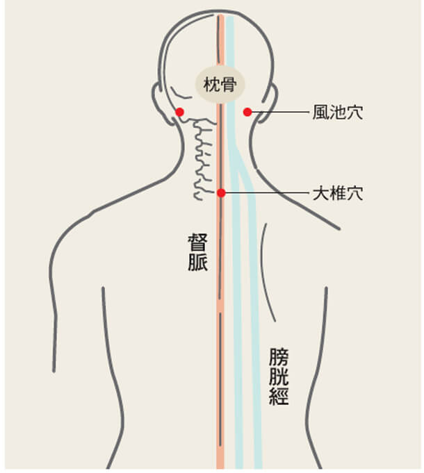 常見刮痧部位