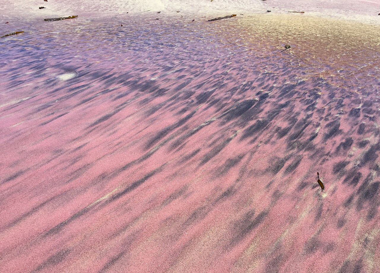 美國加州帕非佛紫色沙灘（Pfeiffer Beach）- By Justin Dolske - https://www.flickr.com/photos/dolske/28151845936/, CC BY-SA 2.0, https://commons.wikimedia.org/w/index.php?curid=112555342